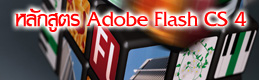 Adobe Flash CS4 Professional 